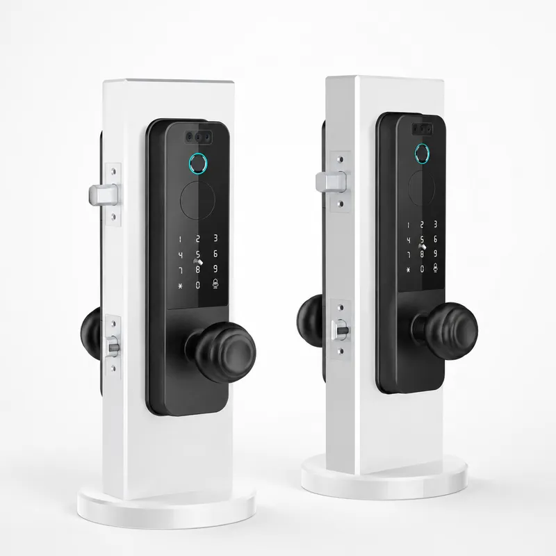 Smart Door Lock Wifi - Serratura per Porta in Legno con