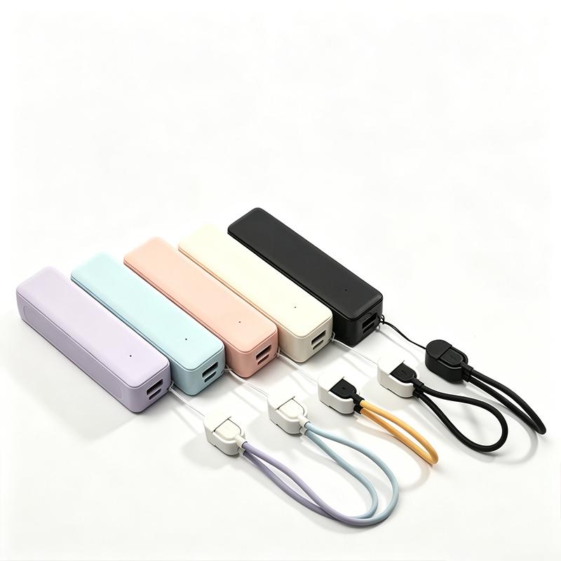Custodia per Power Bank con Ba - Electronics Project Kit recensione e prezzo