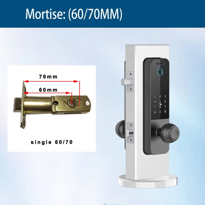 Serratura per Porta in Legno c - Smart Door Lock Wifi recensione e prezzo