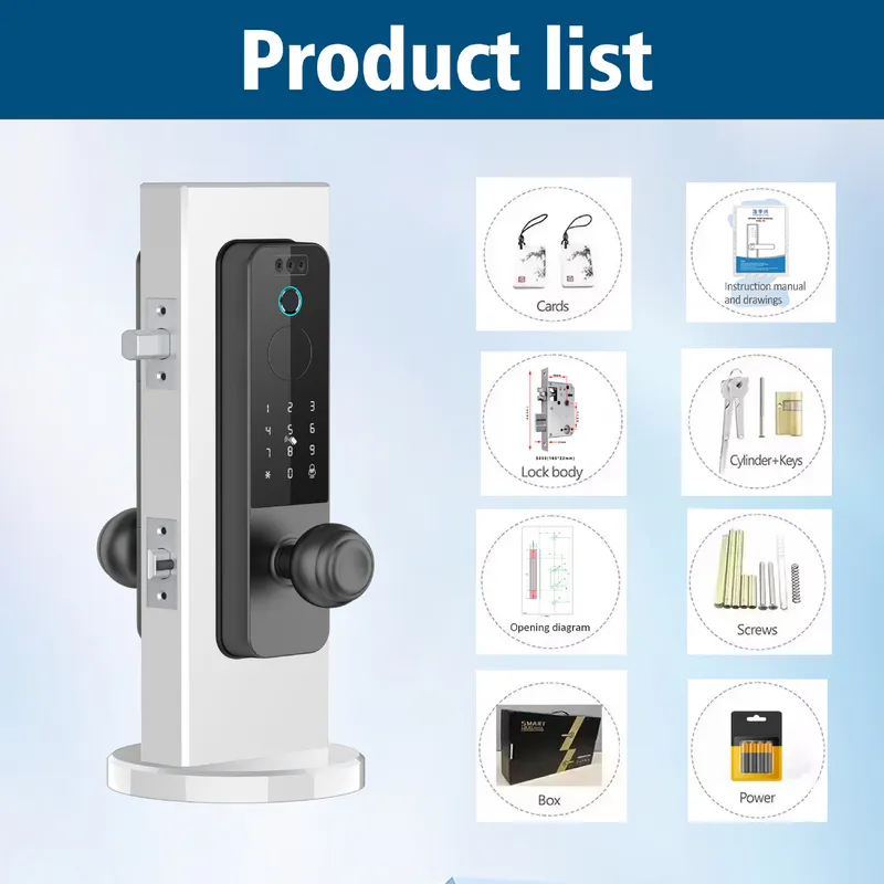 Serratura per Porta in Legno c - Smart Door Lock Wifi recensione e prezzo