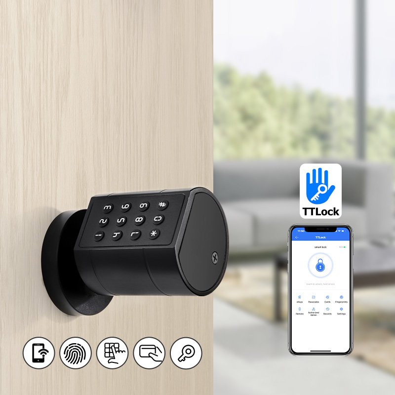 Smart Euro Serratura cilindric - Smart Door Lock Wifi recensione e prezzo