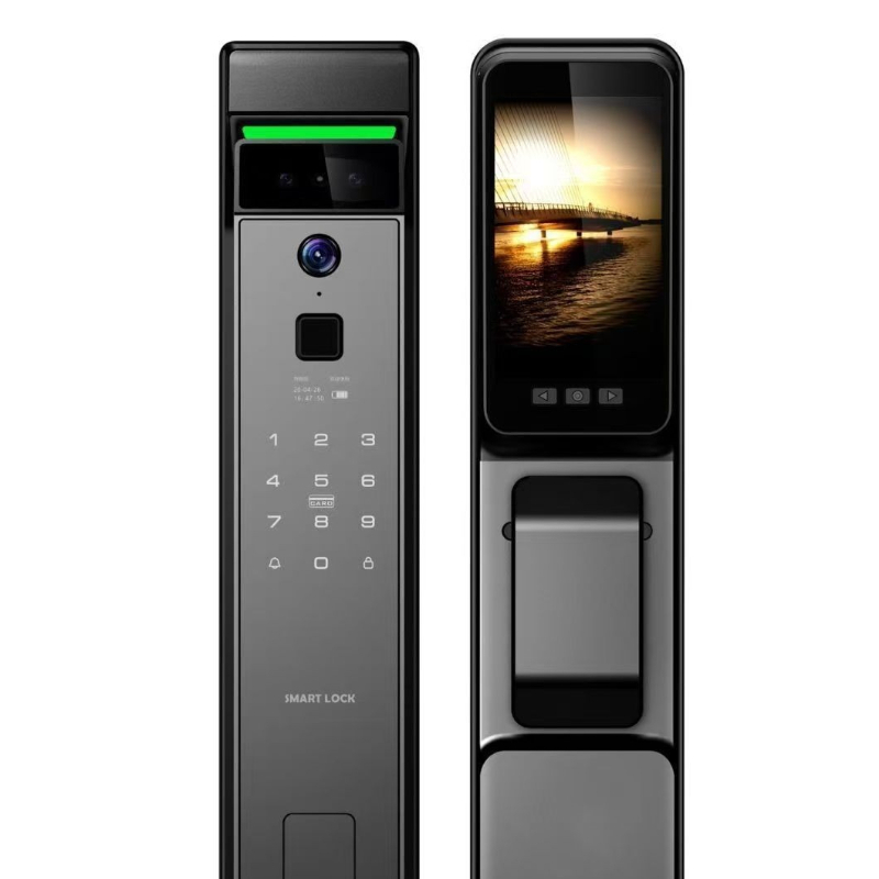 Serratura Intelligente TUYA co - Smart Door Lock Wifi recensione e prezzo