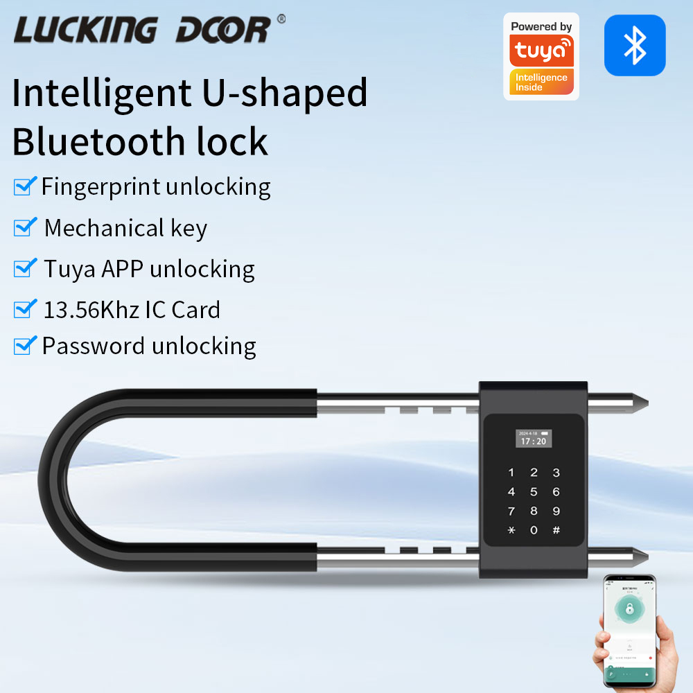 Serratura Elettronica Biometri - Smart Door Lock Wifi recensione e prezzo