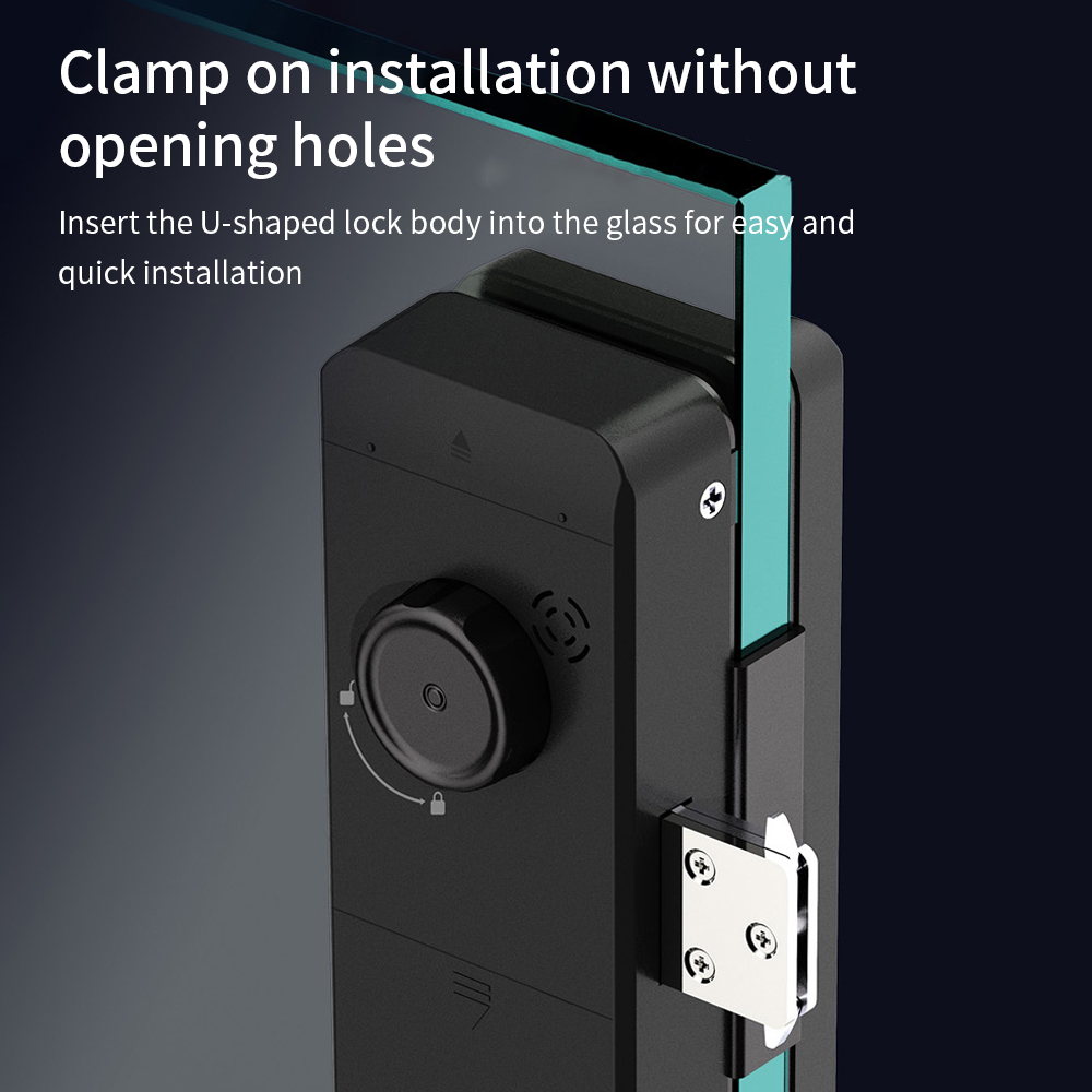 Serratura intelligente per vet - Smart Door Lock Wifi recensione e prezzo