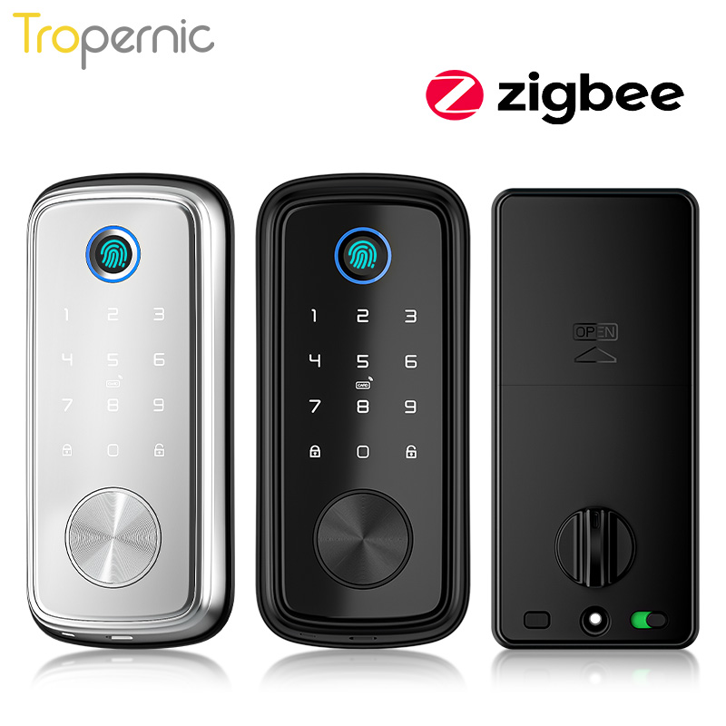 Tuya Zigbee serrature a catena - Smart Door Lock Wifi recensione e prezzo